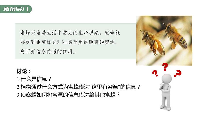 3.4  生態(tài)系統(tǒng)的信息傳遞-2023-2024學(xué)年高二生物人教版選擇性必修2課件第3頁