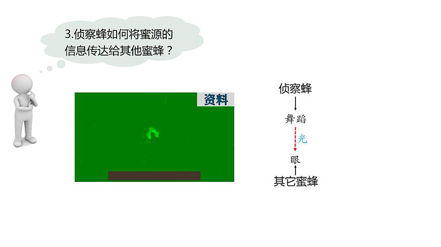 3.4  生態(tài)系統(tǒng)的信息傳遞-2023-2024學(xué)年高二生物人教版選擇性必修2課件第6頁