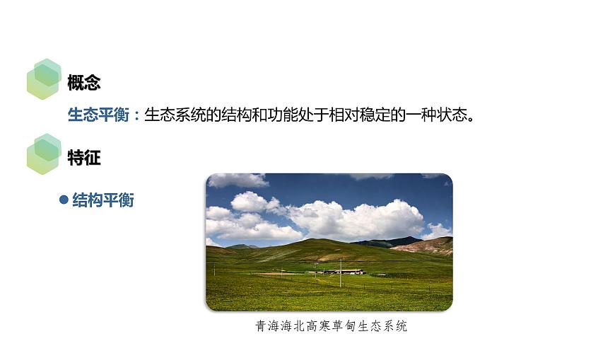 3.5 生態(tài)系統(tǒng)的穩(wěn)定性-2023-2024學年高二生物人教版選擇性必修2課件第5頁