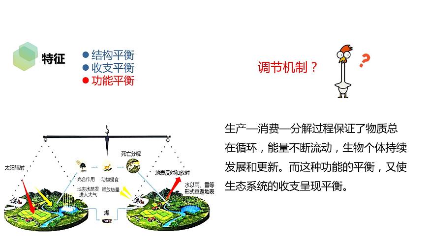 3.5 生態(tài)系統(tǒng)的穩(wěn)定性-2023-2024學年高二生物人教版選擇性必修2課件第7頁