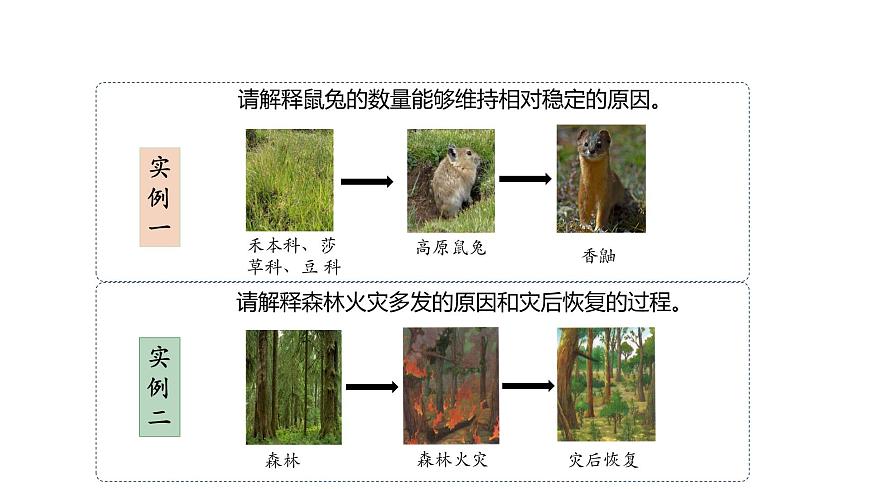 3.5 生態(tài)系統(tǒng)的穩(wěn)定性-2023-2024學年高二生物人教版選擇性必修2課件第8頁