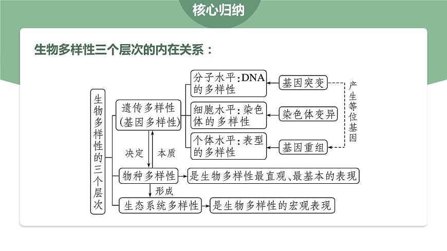 4.2 生物多樣性及其保護-2023-2024學年高二生物人教版選擇性必修2課件第5頁