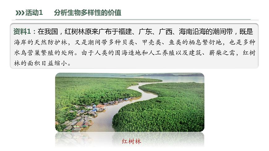 4.2 生物多樣性及其保護-2023-2024學年高二生物人教版選擇性必修2課件第7頁