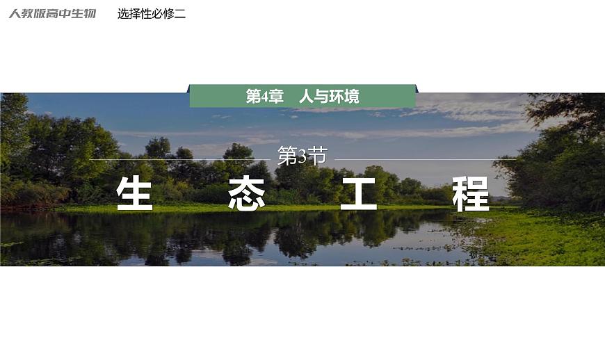 4.3 生態(tài)工程-2023-2024學(xué)年高二生物人教版選擇性必修2課件第1頁