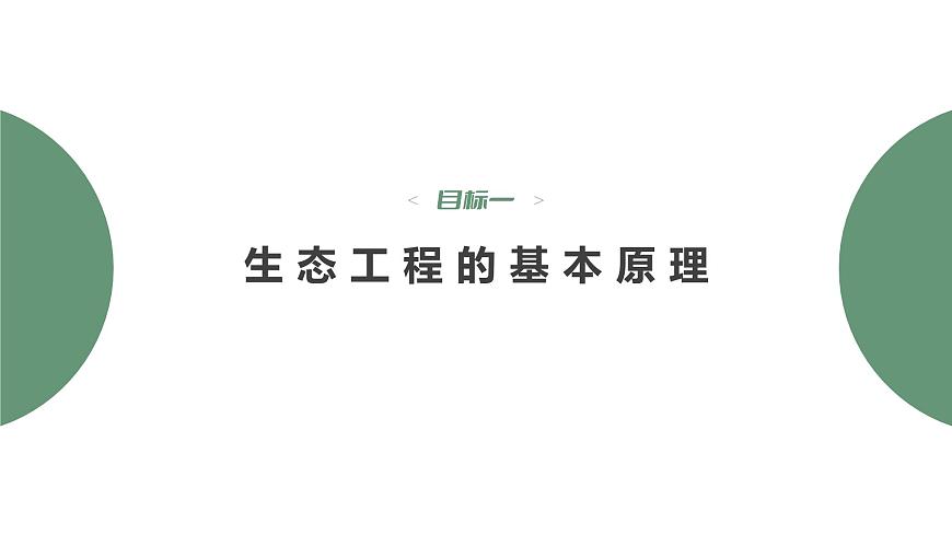 4.3 生態(tài)工程-2023-2024學(xué)年高二生物人教版選擇性必修2課件第4頁