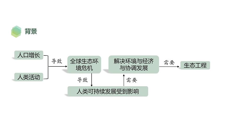 4.3 生態(tài)工程-2023-2024學(xué)年高二生物人教版選擇性必修2課件第5頁