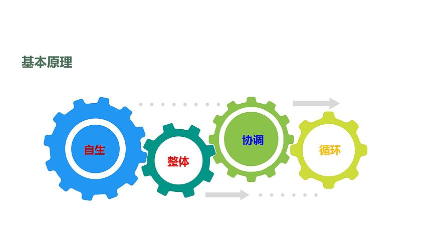 4.3 生態(tài)工程-2023-2024學(xué)年高二生物人教版選擇性必修2課件第7頁