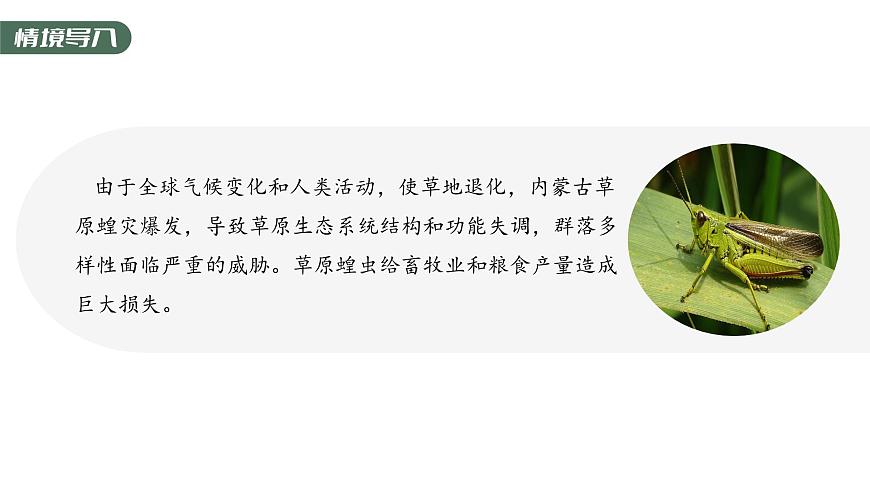 2.1.2 群落的空間結(jié)構(gòu)、季節(jié)性、生態(tài)位及研究土壤中小動(dòng)物類(lèi)群的豐富度-2023-2024學(xué)年高二生物人教版選擇性必修2課件第3頁(yè)