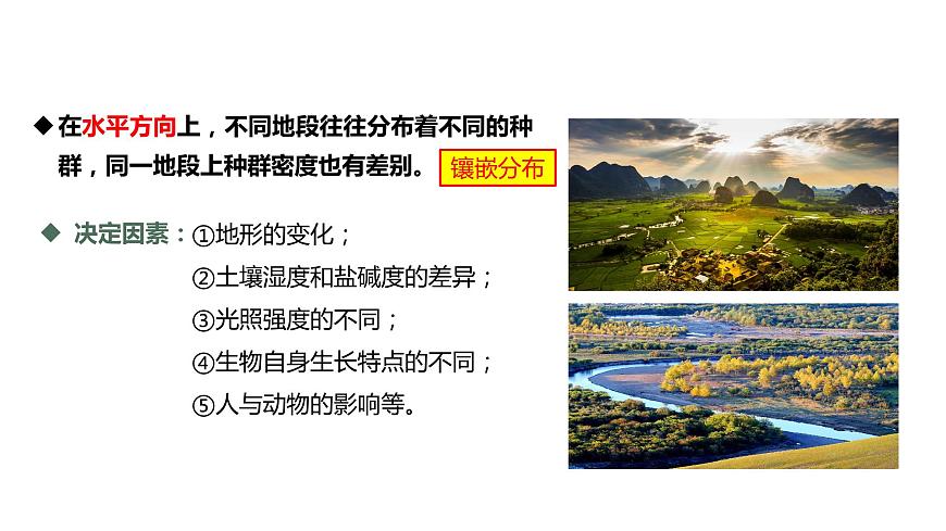 2.1.2 群落的空間結(jié)構(gòu)、季節(jié)性、生態(tài)位及研究土壤中小動(dòng)物類(lèi)群的豐富度-2023-2024學(xué)年高二生物人教版選擇性必修2課件第6頁(yè)