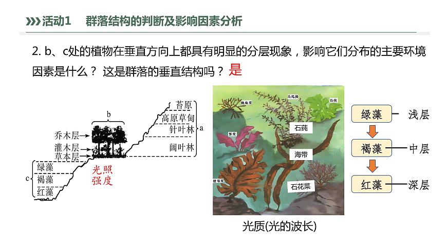 2.1.2 群落的空間結(jié)構(gòu)、季節(jié)性、生態(tài)位及研究土壤中小動(dòng)物類(lèi)群的豐富度-2023-2024學(xué)年高二生物人教版選擇性必修2課件第8頁(yè)