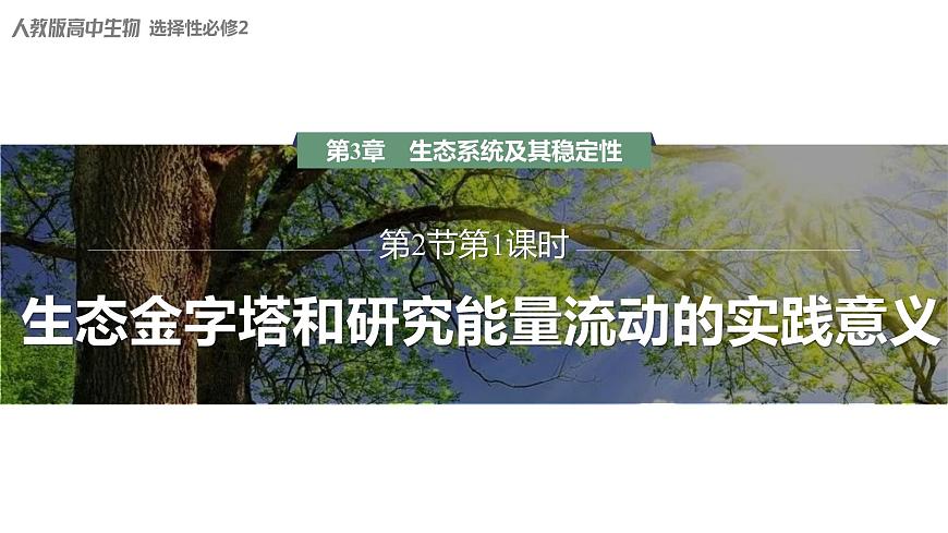 3.2.2 生態(tài)金字塔和研究能量流動(dòng)的實(shí)踐意義-2023-2024學(xué)年高二生物人教版選擇性必修2課件第1頁(yè)