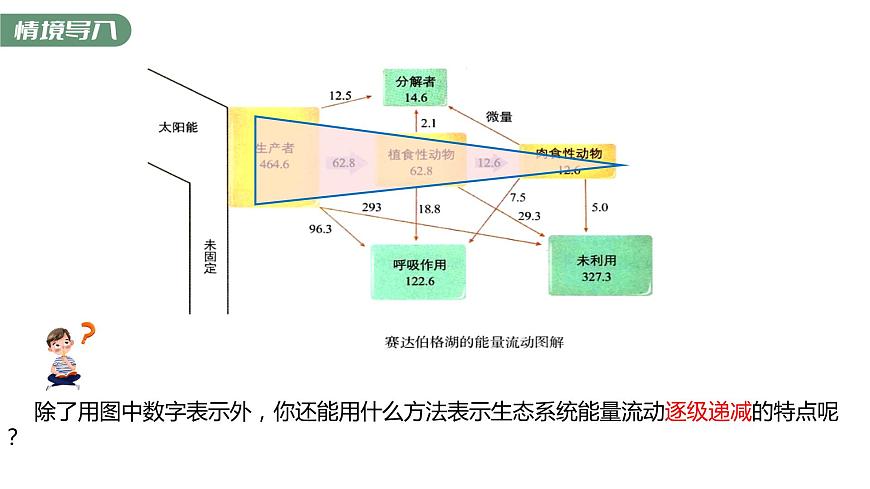 3.2.2 生態(tài)金字塔和研究能量流動(dòng)的實(shí)踐意義-2023-2024學(xué)年高二生物人教版選擇性必修2課件第3頁(yè)
