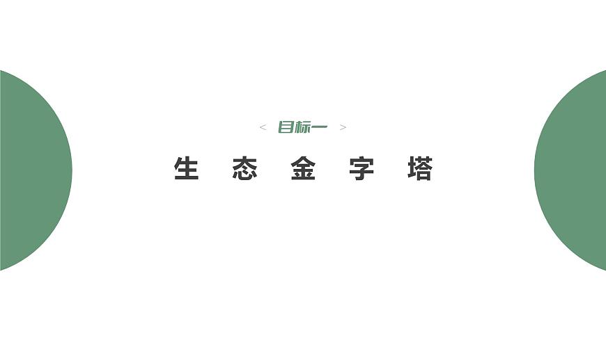 3.2.2 生態(tài)金字塔和研究能量流動(dòng)的實(shí)踐意義-2023-2024學(xué)年高二生物人教版選擇性必修2課件第4頁(yè)