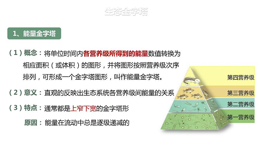 3.2.2 生態(tài)金字塔和研究能量流動(dòng)的實(shí)踐意義-2023-2024學(xué)年高二生物人教版選擇性必修2課件第6頁(yè)