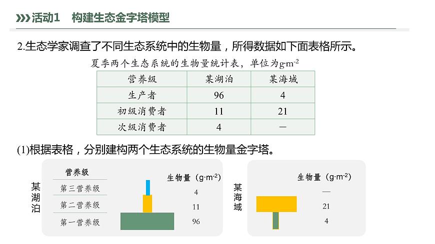 3.2.2 生態(tài)金字塔和研究能量流動(dòng)的實(shí)踐意義-2023-2024學(xué)年高二生物人教版選擇性必修2課件第7頁(yè)