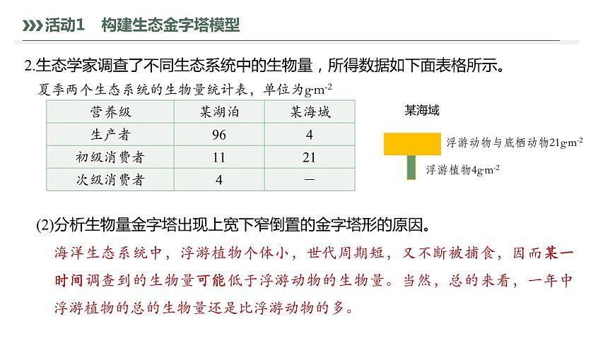 3.2.2 生態(tài)金字塔和研究能量流動(dòng)的實(shí)踐意義-2023-2024學(xué)年高二生物人教版選擇性必修2課件第8頁(yè)