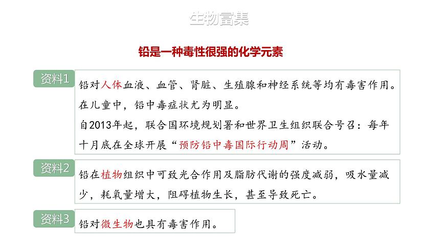 3.3.2 生物富集及探究土壤微生物的分解作用-2023-2024學(xué)年高二生物人教版選擇性必修2課件第5頁(yè)