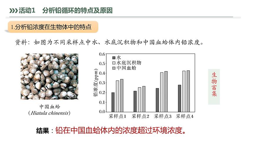 3.3.2 生物富集及探究土壤微生物的分解作用-2023-2024學(xué)年高二生物人教版選擇性必修2課件第7頁(yè)