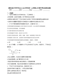 湖北省沙市中学2022-2023学年高一上学期11月期中考试生物试卷(含答案)