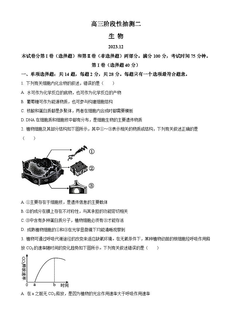 2024常熟高三上学期阶段性抽测二(12月)生物含解析第1页