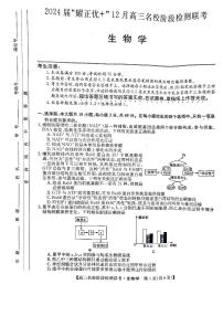 2024安徽省“耀正优”高三上学期12月名校阶段检测联考试题生物PDF版含答案