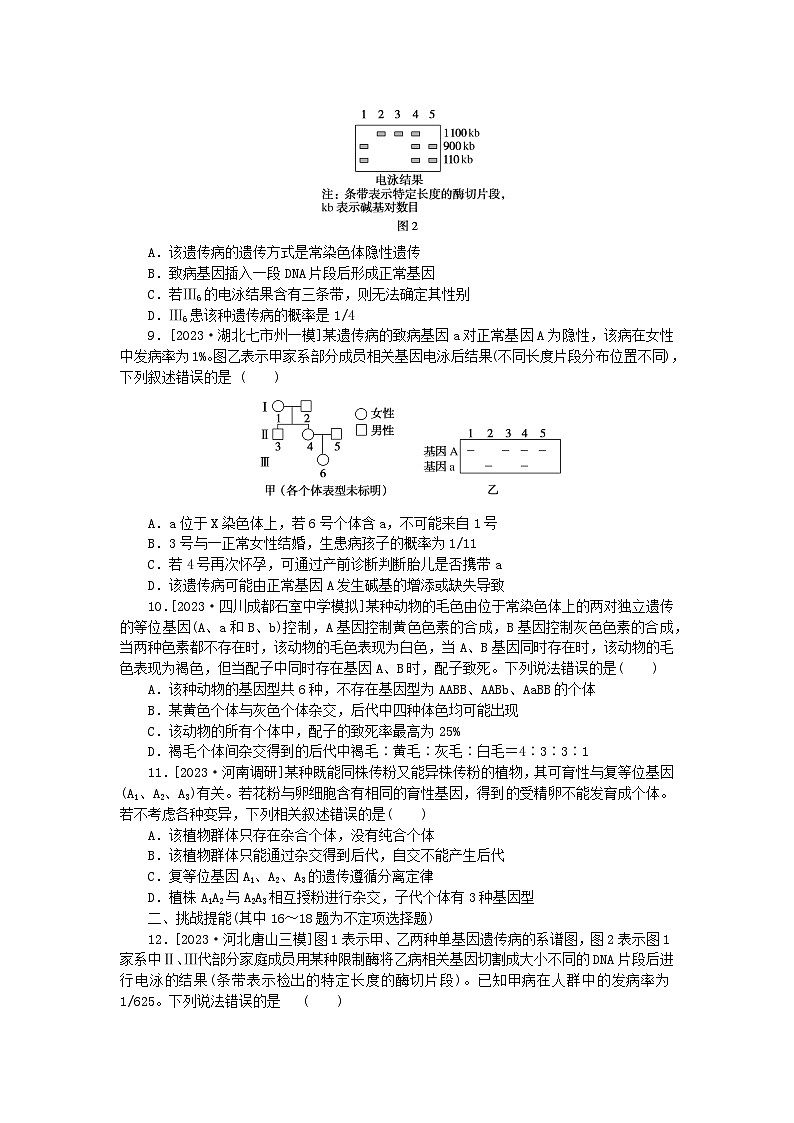 新教材2024届高考生物二轮专项分层特训卷第一部分完善生物学大概念__精练高频考点9遗传的基本规律的拓展应用第3页