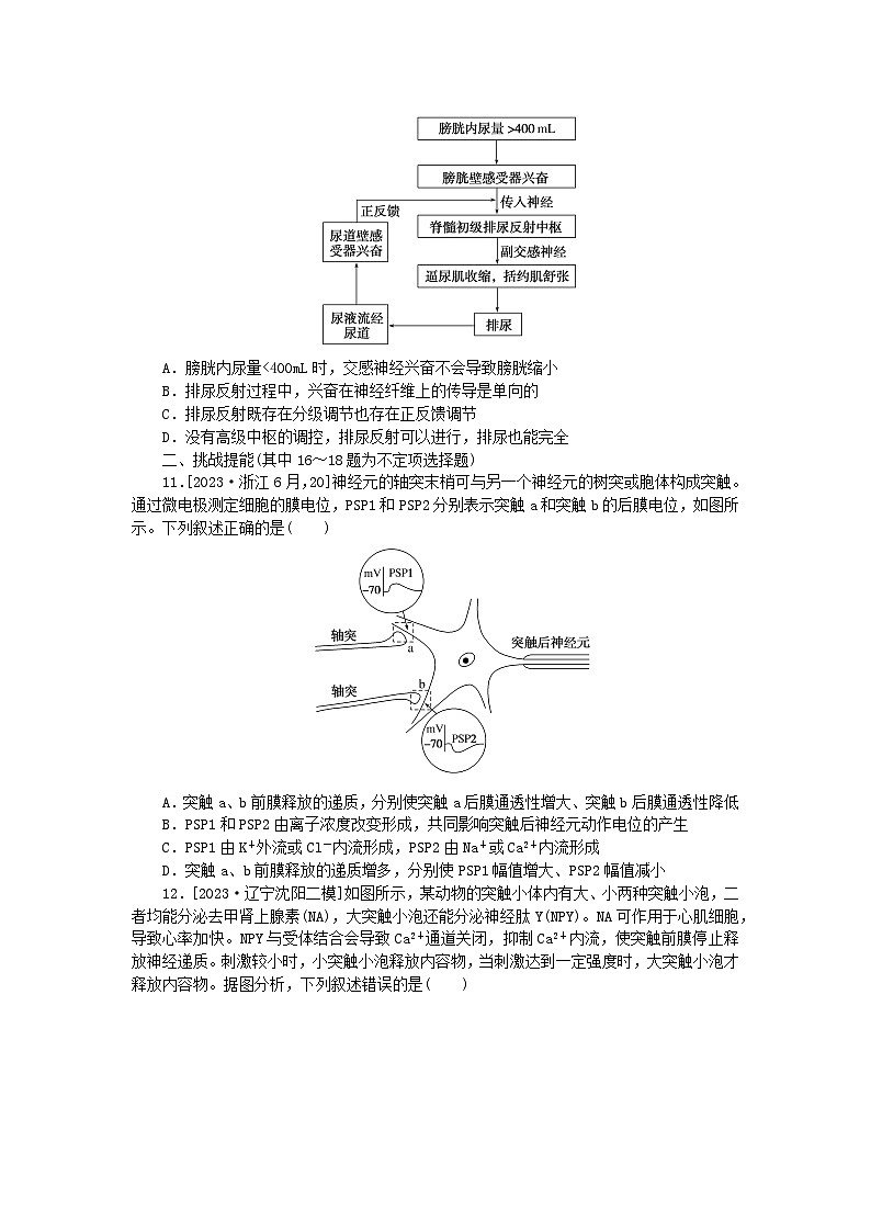 新教材2024届高考生物二轮专项分层特训卷第一部分完善生物学大概念__精练高频考点11神经调节的原理及特点第3页