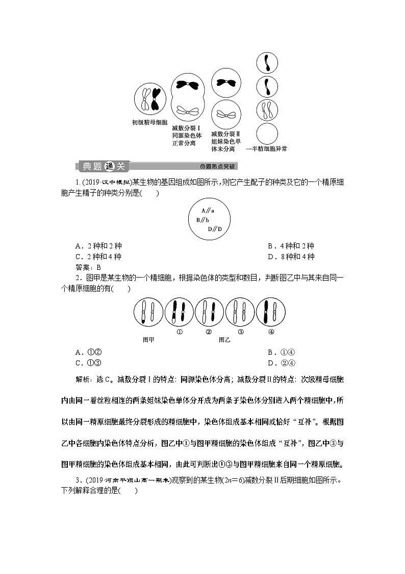 高中生物必修二《第1节 减数分裂和受精作用》教学设计2-统编人教版03