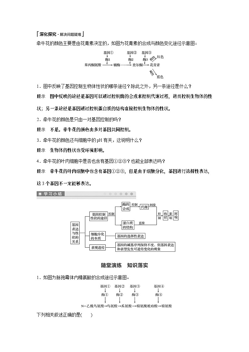 高中必修二生物《第2节 基因表达与性状的关系》教学设计-统编人教版03