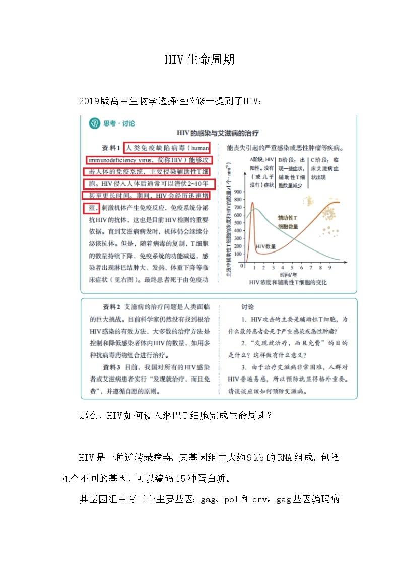 备课素材（知识点）：HIV生命周期  高中生物学选择性必修一01