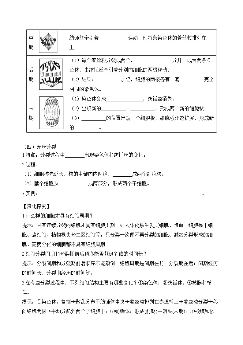 6.1细胞的增殖 学案 生物人教版必修102