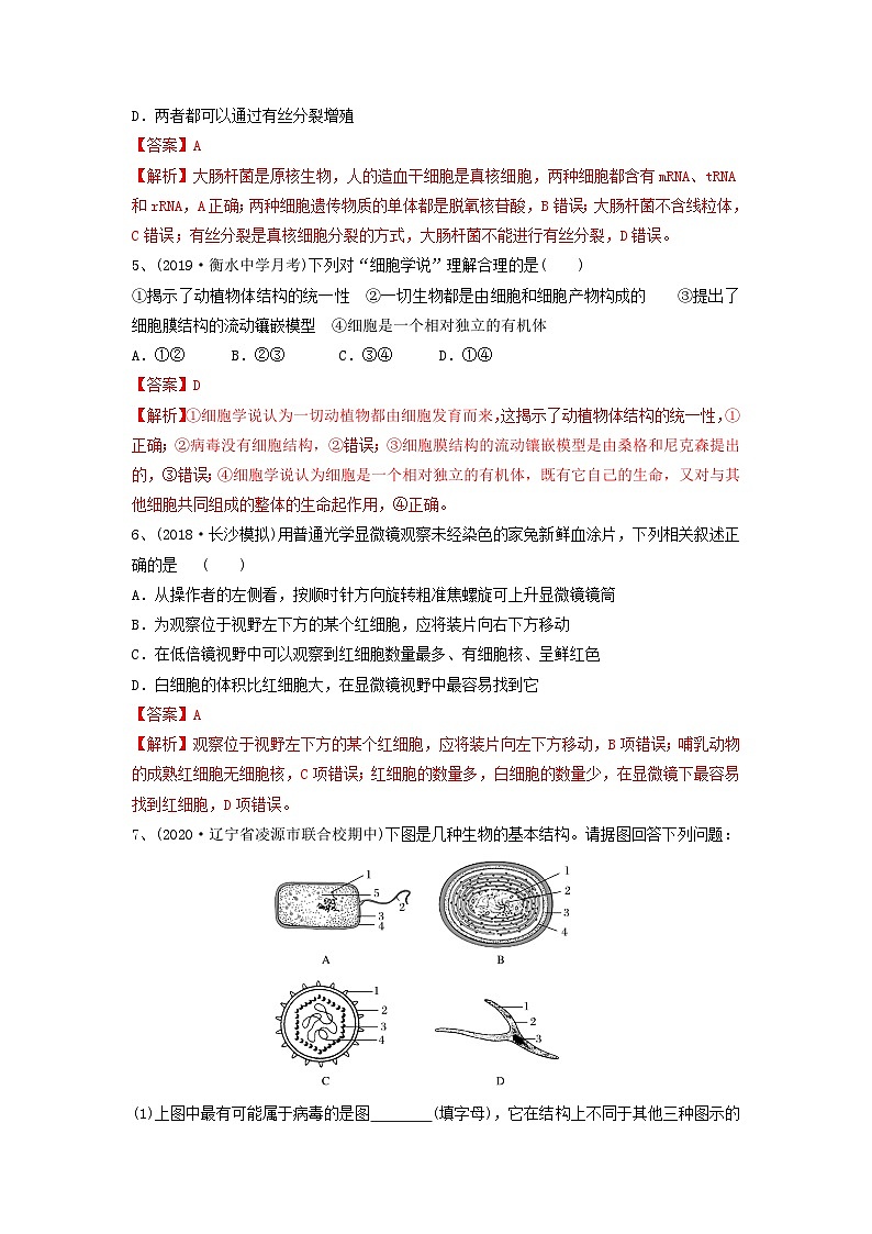 专题01 走近细胞(精练)(解析版)第2页