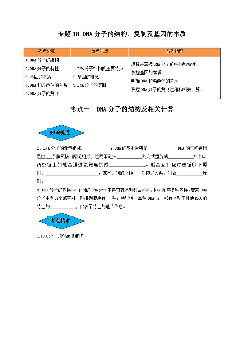 专题18 DNA分子的结构、复制及基因的本质(串讲)(原卷版)第1页