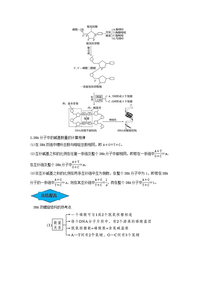 专题18 DNA分子的结构、复制及基因的本质(串讲)(原卷版)第2页