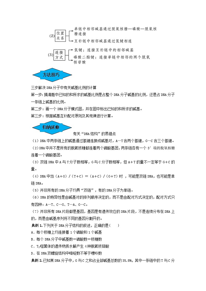 专题18 DNA分子的结构、复制及基因的本质(串讲)(原卷版)第3页