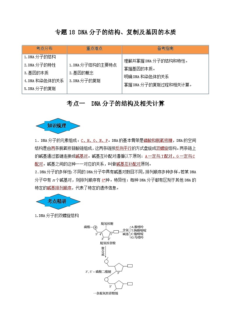 专题18 DNA分子的结构、复制及基因的本质(串讲)(解析版)第1页
