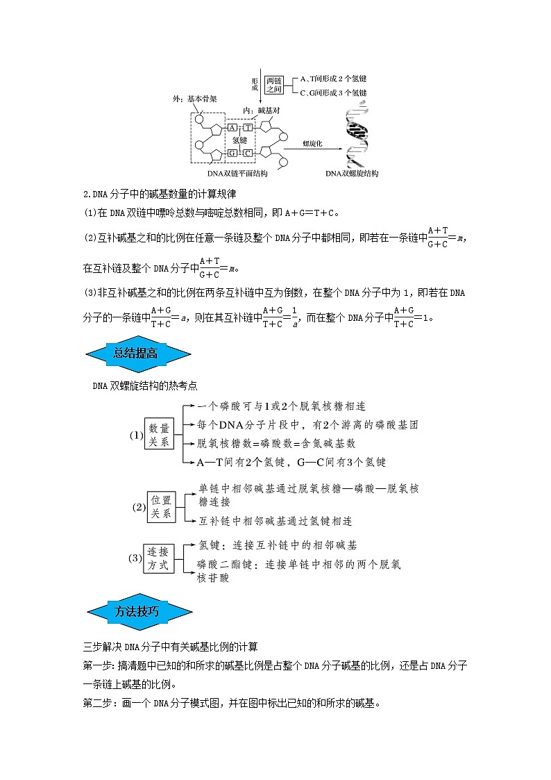 专题18 DNA分子的结构、复制及基因的本质(串讲)(解析版)第2页