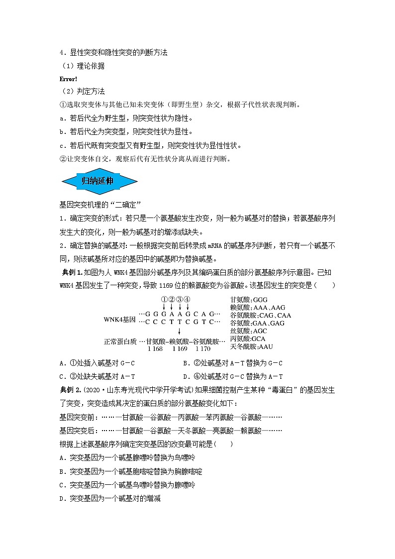 专题20 基因突变和基因重组(串讲)(原卷版)第3页