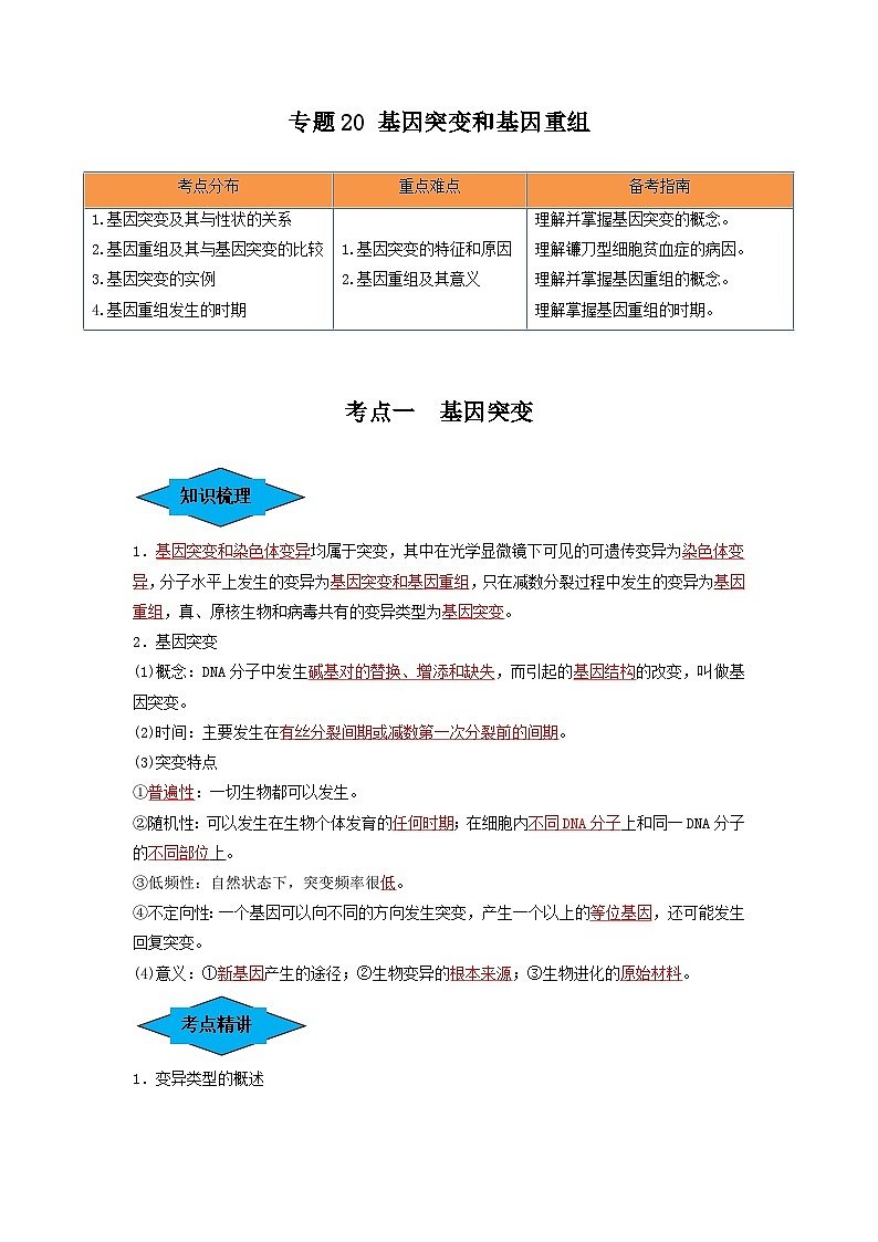 专题20 基因突变和基因重组(串讲)(解析版)第1页