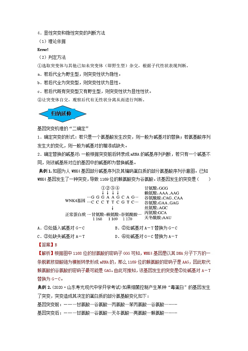 专题20 基因突变和基因重组(串讲)(解析版)第3页