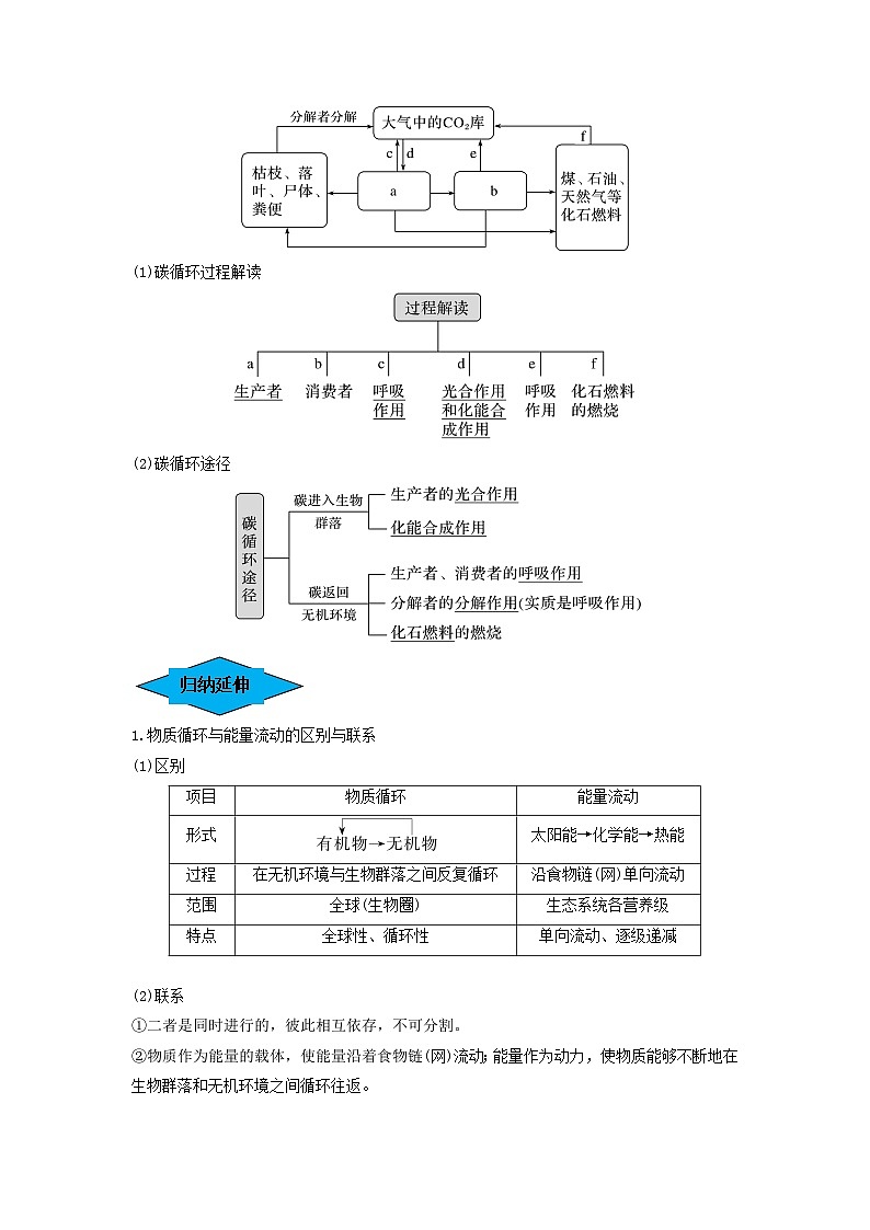 专题31 生态系统的物质循环、信息传递及其稳定性(串讲)(解析版)第2页