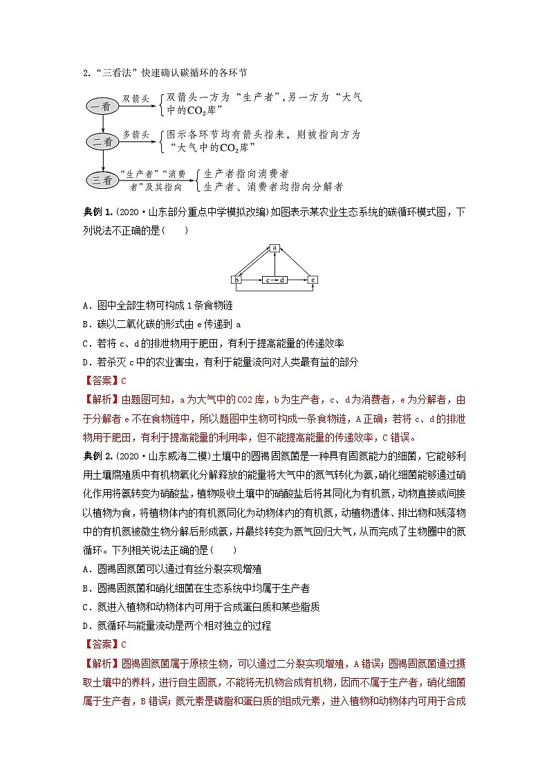 专题31 生态系统的物质循环、信息传递及其稳定性(串讲)(解析版)第3页