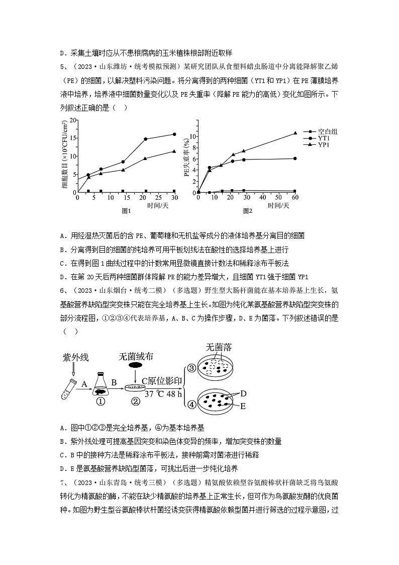 专题35 微生物的培养技术及应用(精练)-备战2024年高考生物一轮复习精讲精练(新高考专用)02