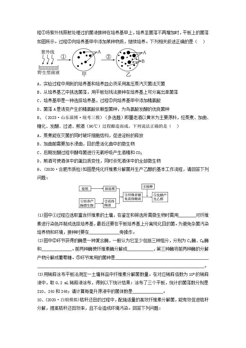 专题35 微生物的培养技术及应用(精练)-备战2024年高考生物一轮复习精讲精练(新高考专用)03
