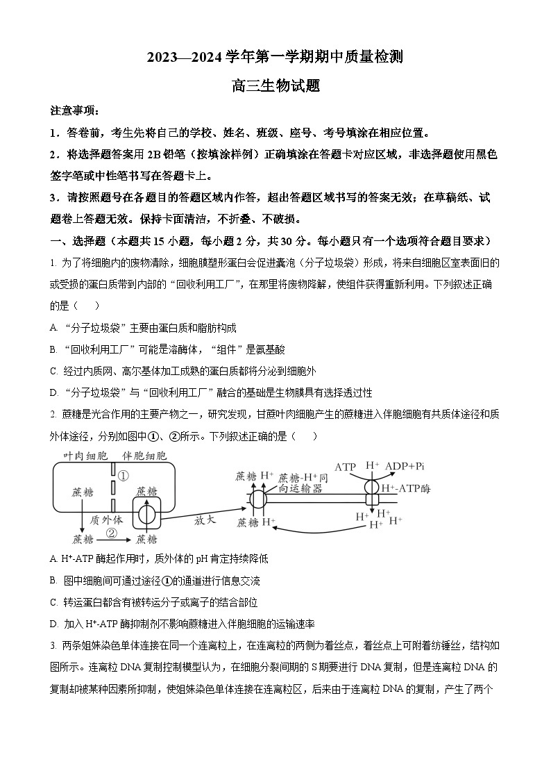 山东省济宁市兖州区2023-2024学年高三上学期期中生物试题（Word版附解析）01