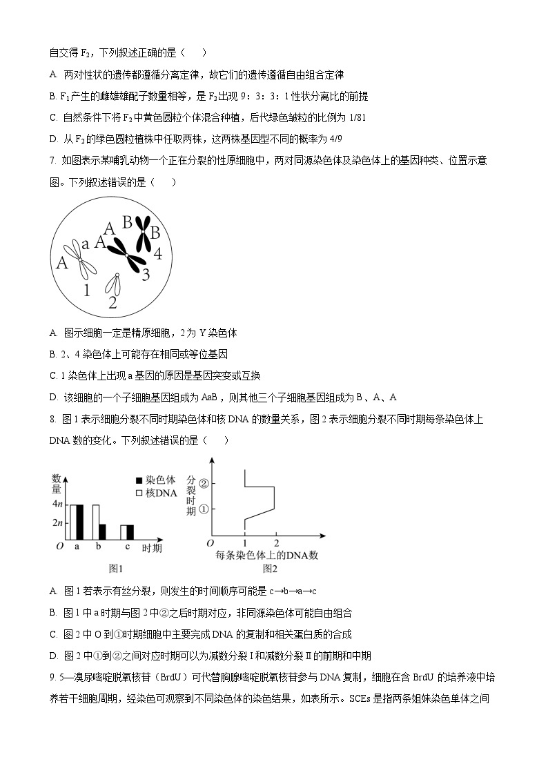 山东省济宁市兖州区2023-2024学年高三上学期期中生物试题（Word版附解析）03