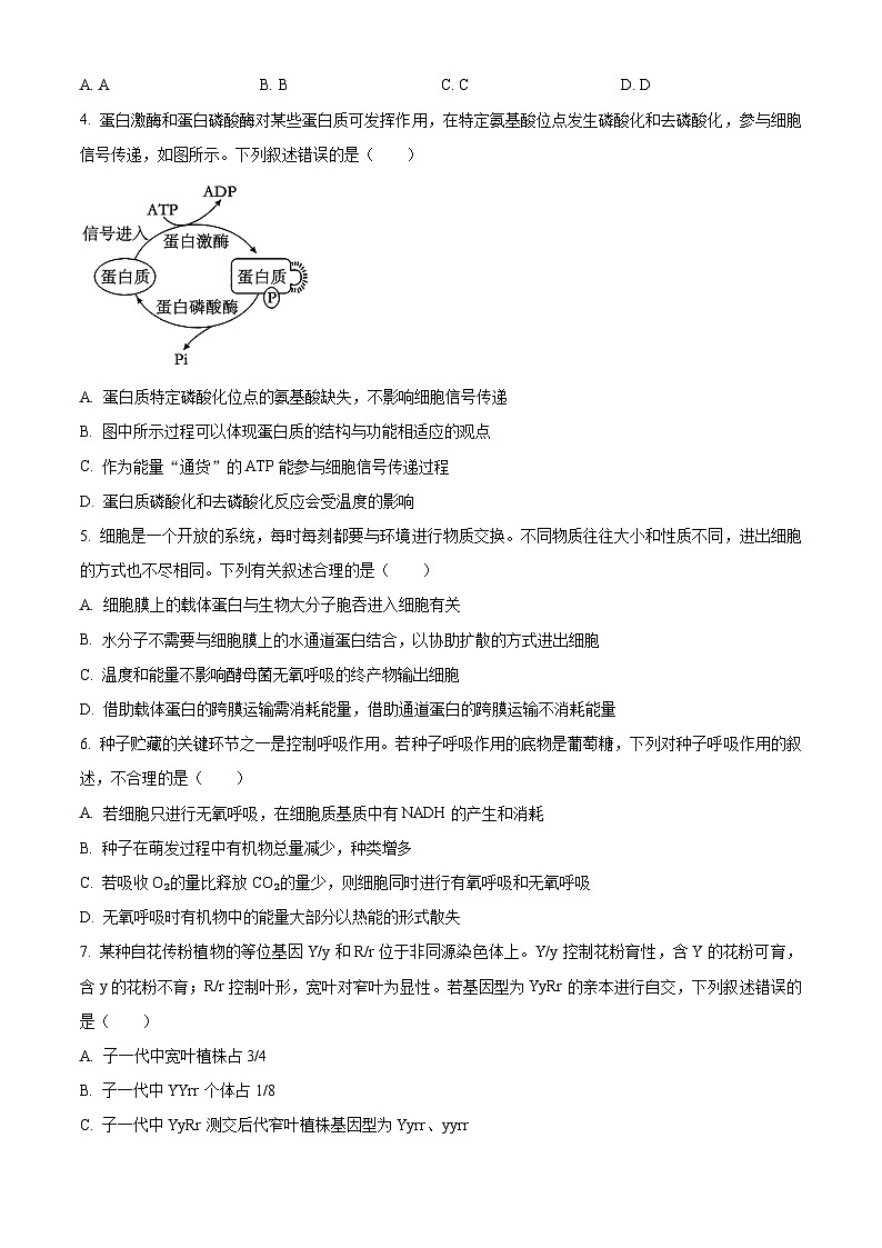 2024汉中高三上学期教学质量第一次检测试题(一模)生物含解析02