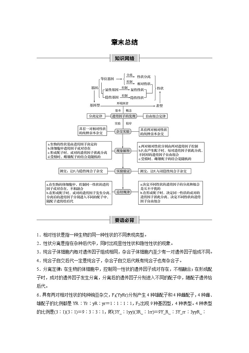高中生物必修二第1章《本章章末总结》教学设计-统编人教版第1页