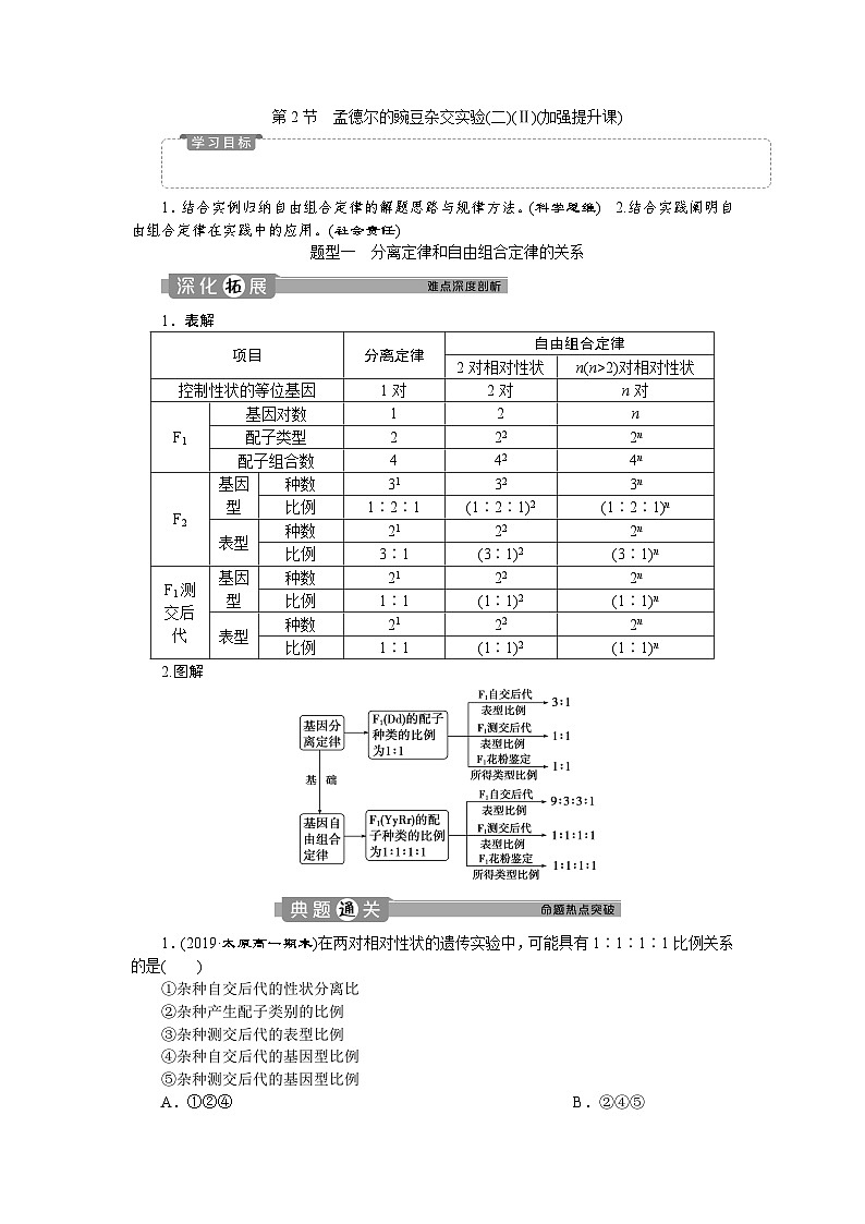 高中生物必修二《第2節(jié) 孟德?tīng)柕耐愣闺s交實(shí)驗(yàn)(二)》達(dá)標(biāo)檢測(cè)2-統(tǒng)編人教版第1頁(yè)