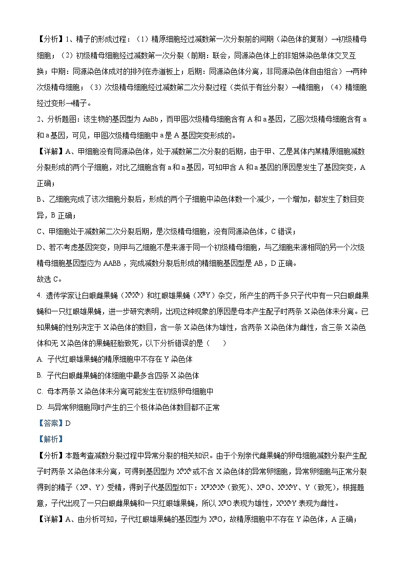 四川省阆中中学2023-2024学年高三上学期一模生物试题(Word版附解析)第3页
